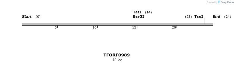277478_map