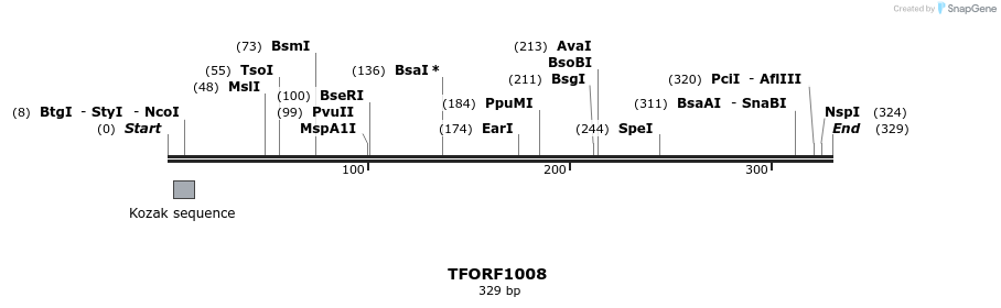 277483_map