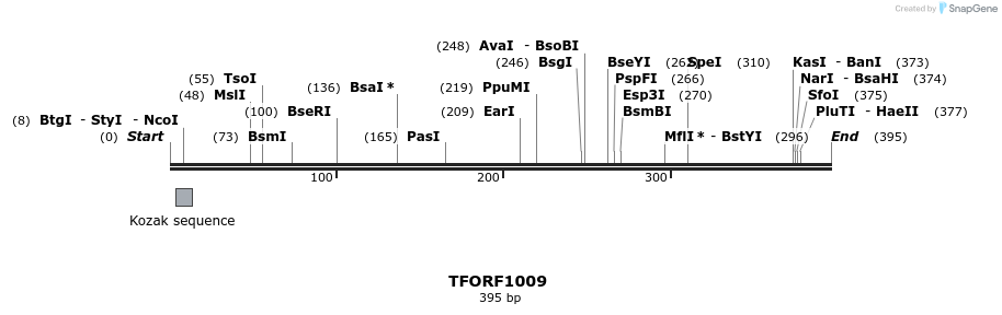 277486_map