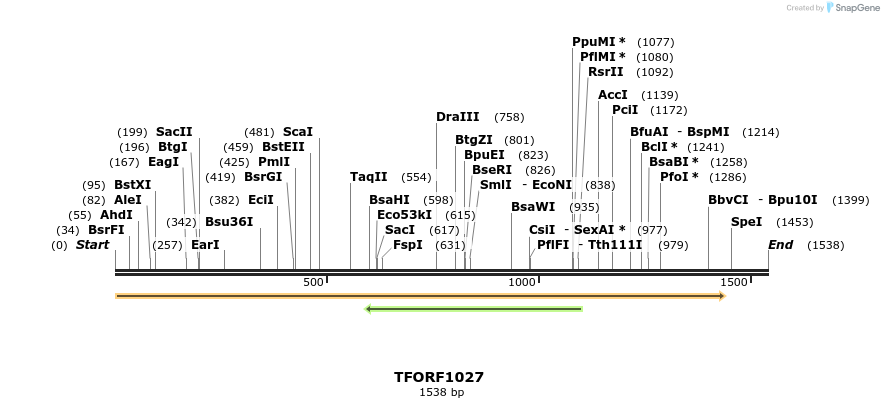 277489_map