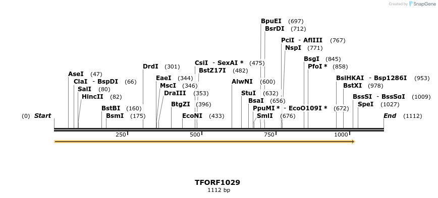 277492_map