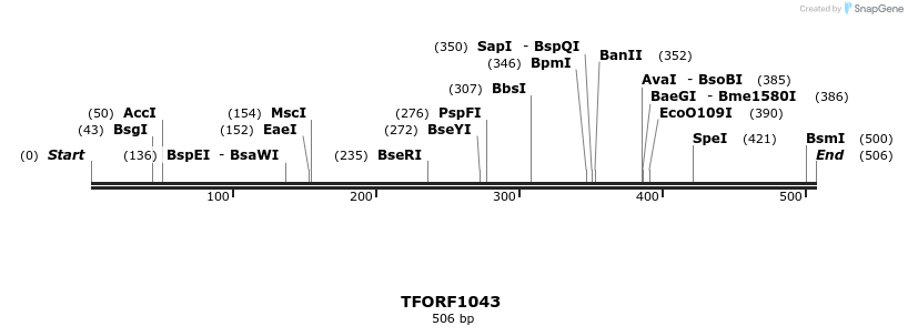 277498_map