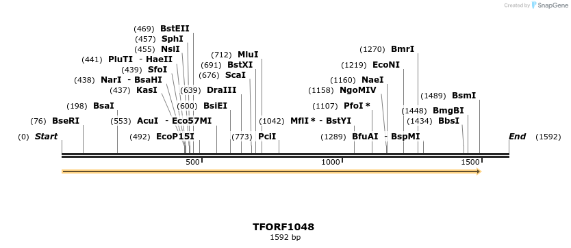 277501_map