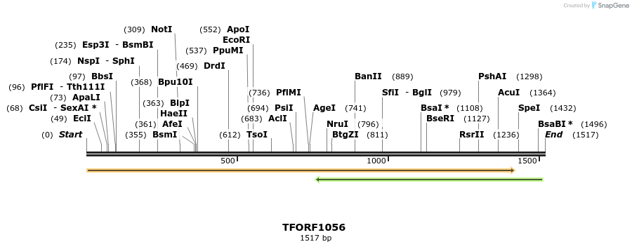 277504_map