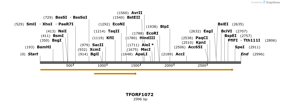 277507_map