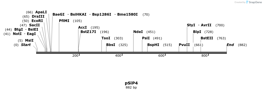 27751_map