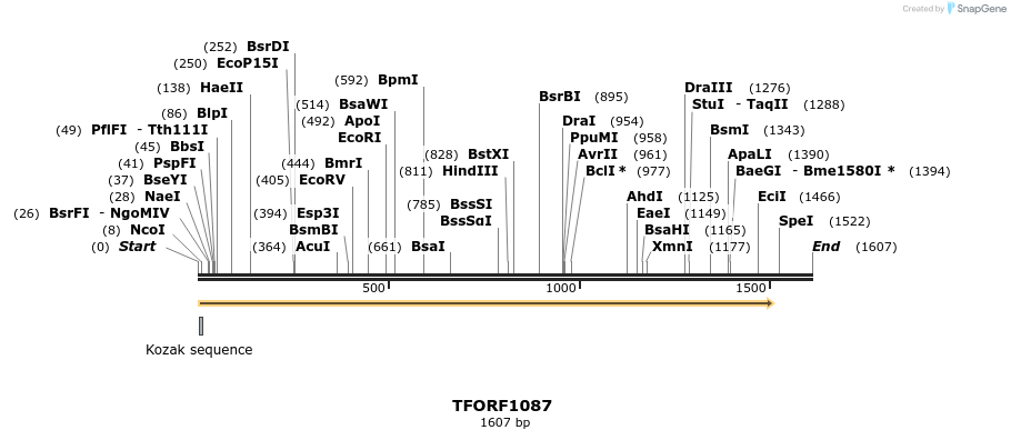 277513_map