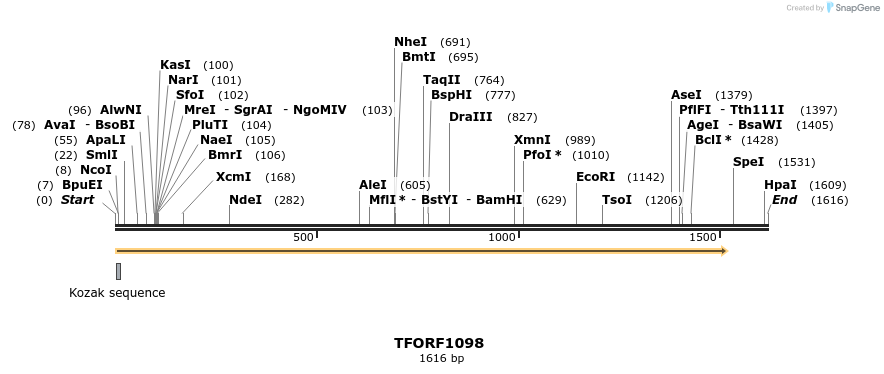 277516_map