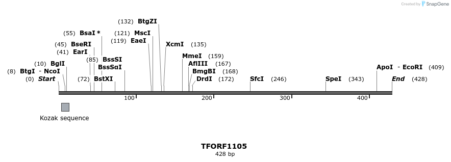 277519_map