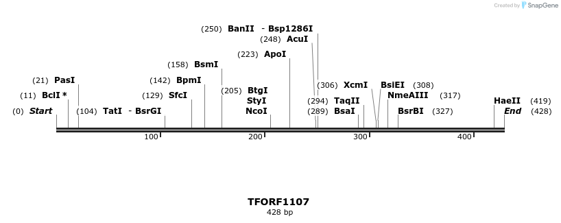 277522_map
