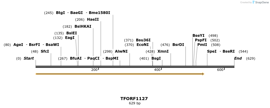 277528_map