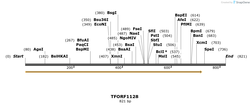 277531_map