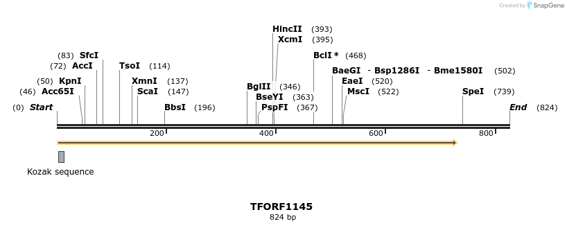 277534_map