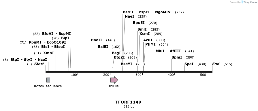 277537_map