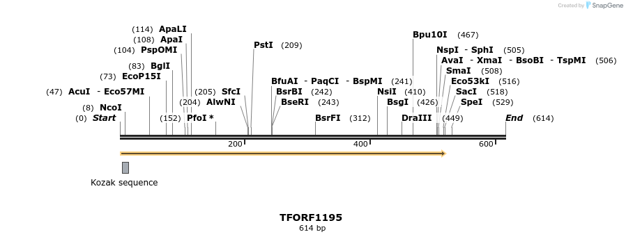 277543_map