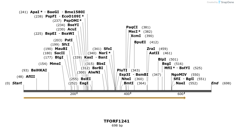 277549_map