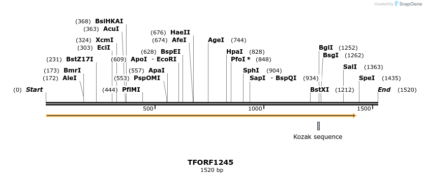 277552_map