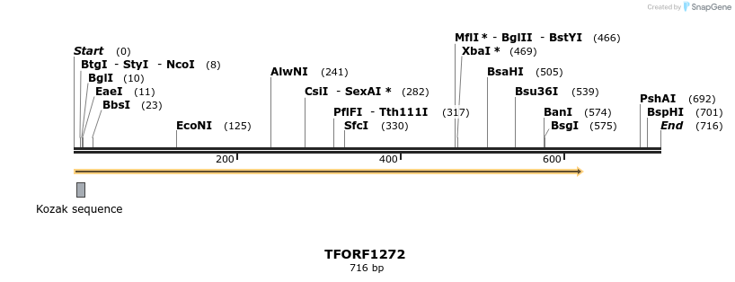 277555_map