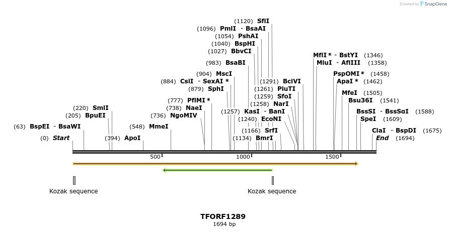 277558_map