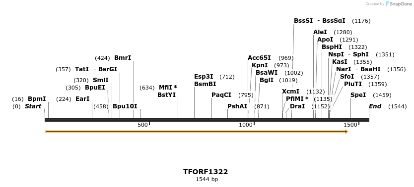 277561_map