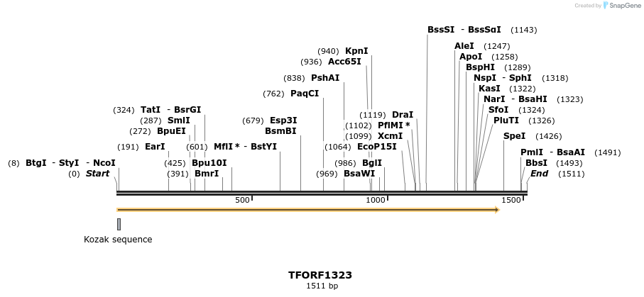 277564_map