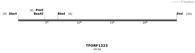 277565_map