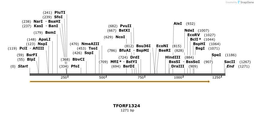 277567_map