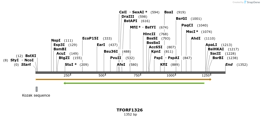 277570_map