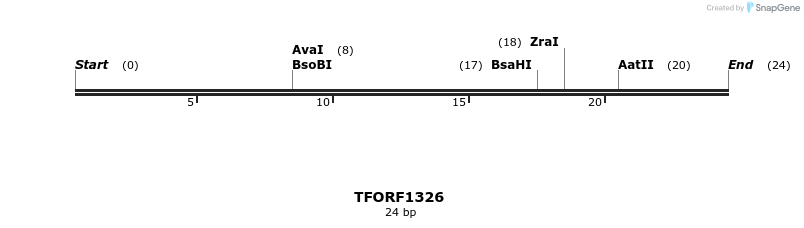 277571_map