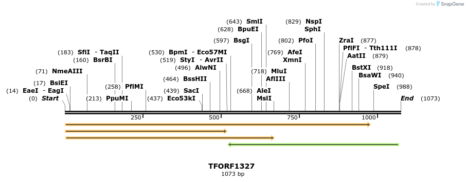 277573_map