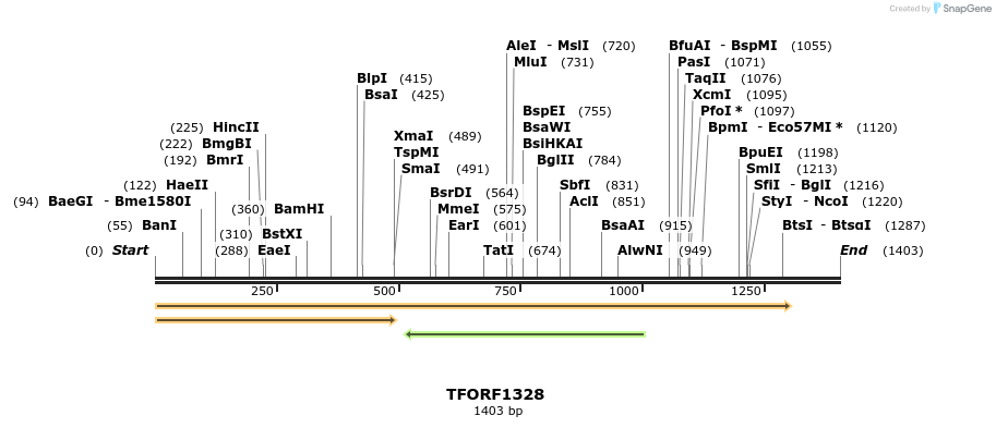 277576_map