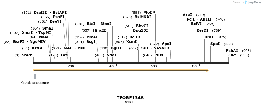 277579_map