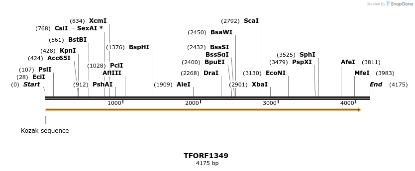 277582_map