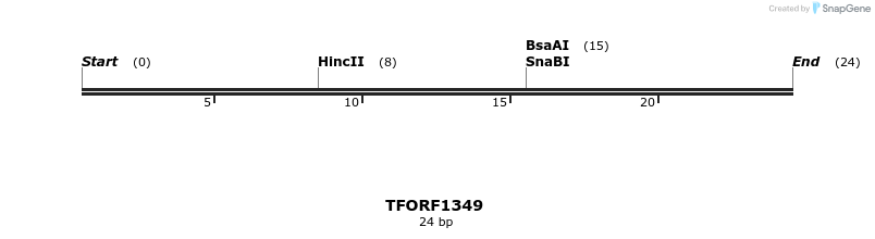 277583_map