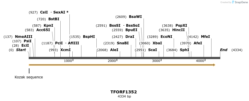 277585_map