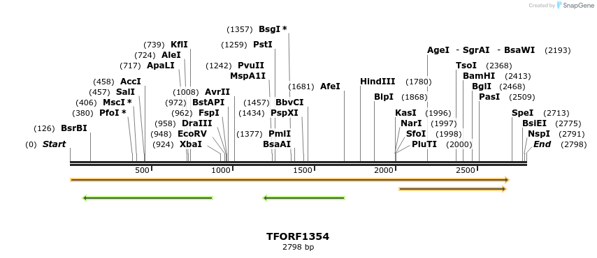 277588_map