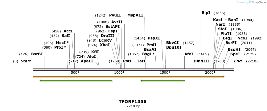 277591_map