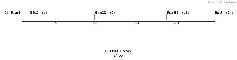 277592_map