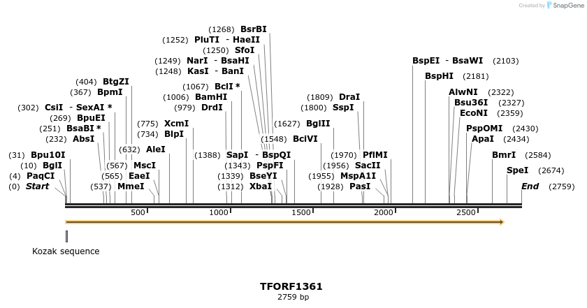 277597_map
