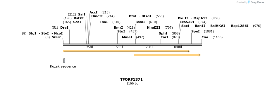277600_map