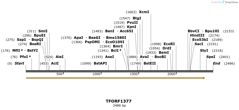 277603_map