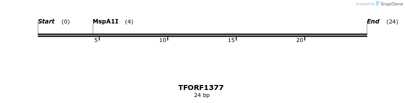 277604_map