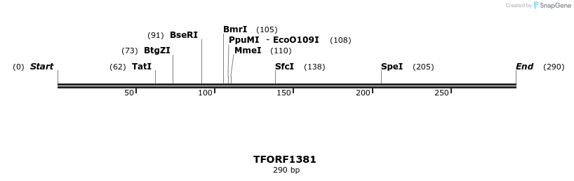277606_map