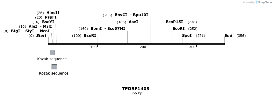 277609_map