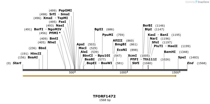 277612_map