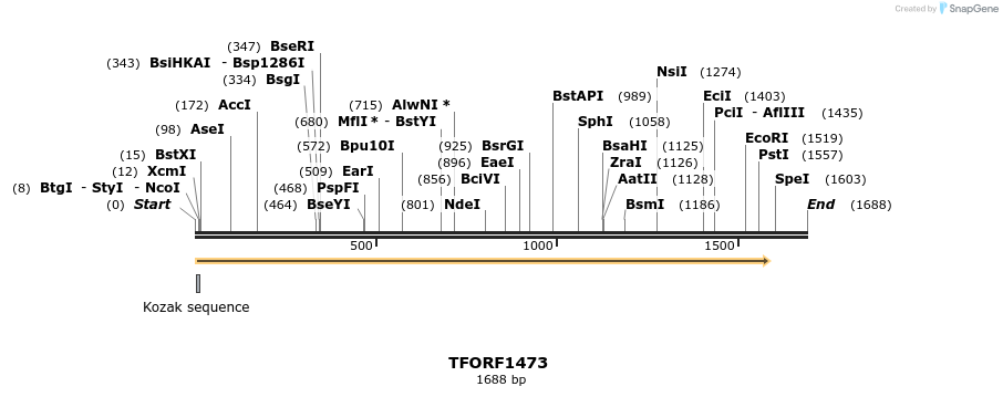 277615_map