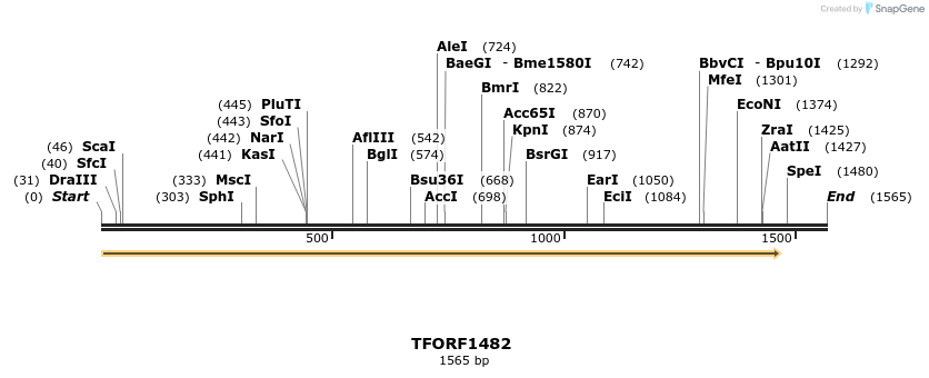 277621_map