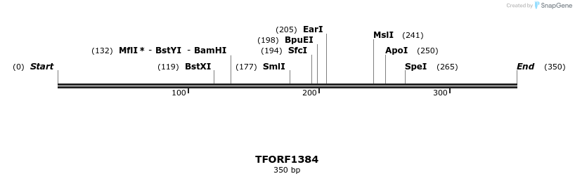 277624_map