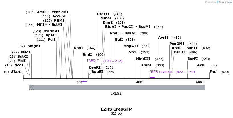 27763_map