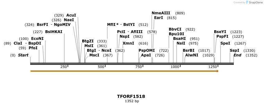 277633_map